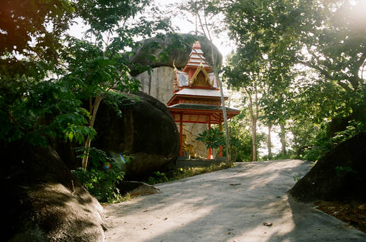 Temple Grounds