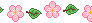 Cherry blossom (sakura) - divider