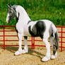 custom gypsy vanner horse