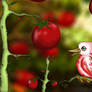 Bird and Tomatoes