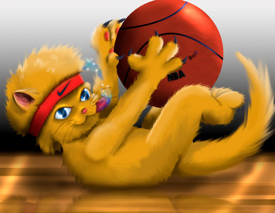 NBA Cat