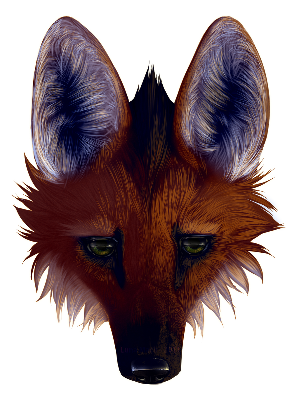 Maned Wolf