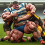 The colossal big teen Rugby Musclebulls 70