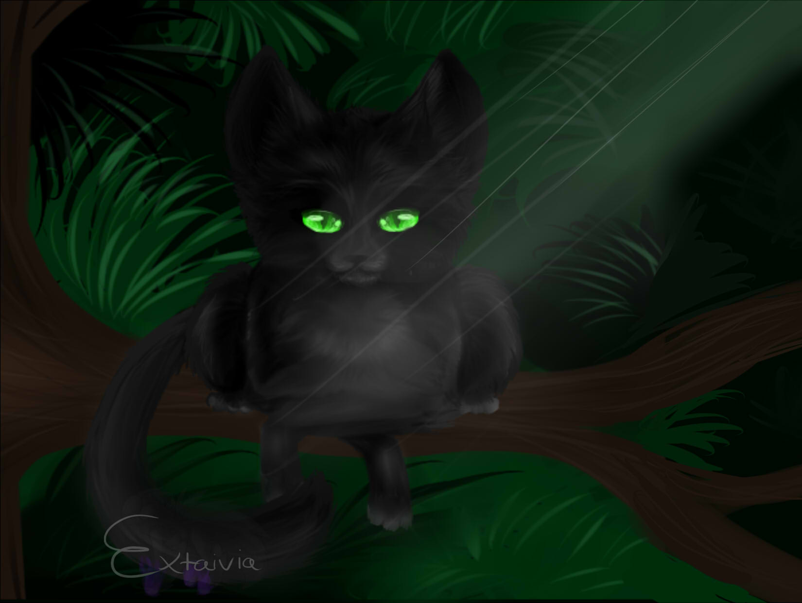 Hollyleaf