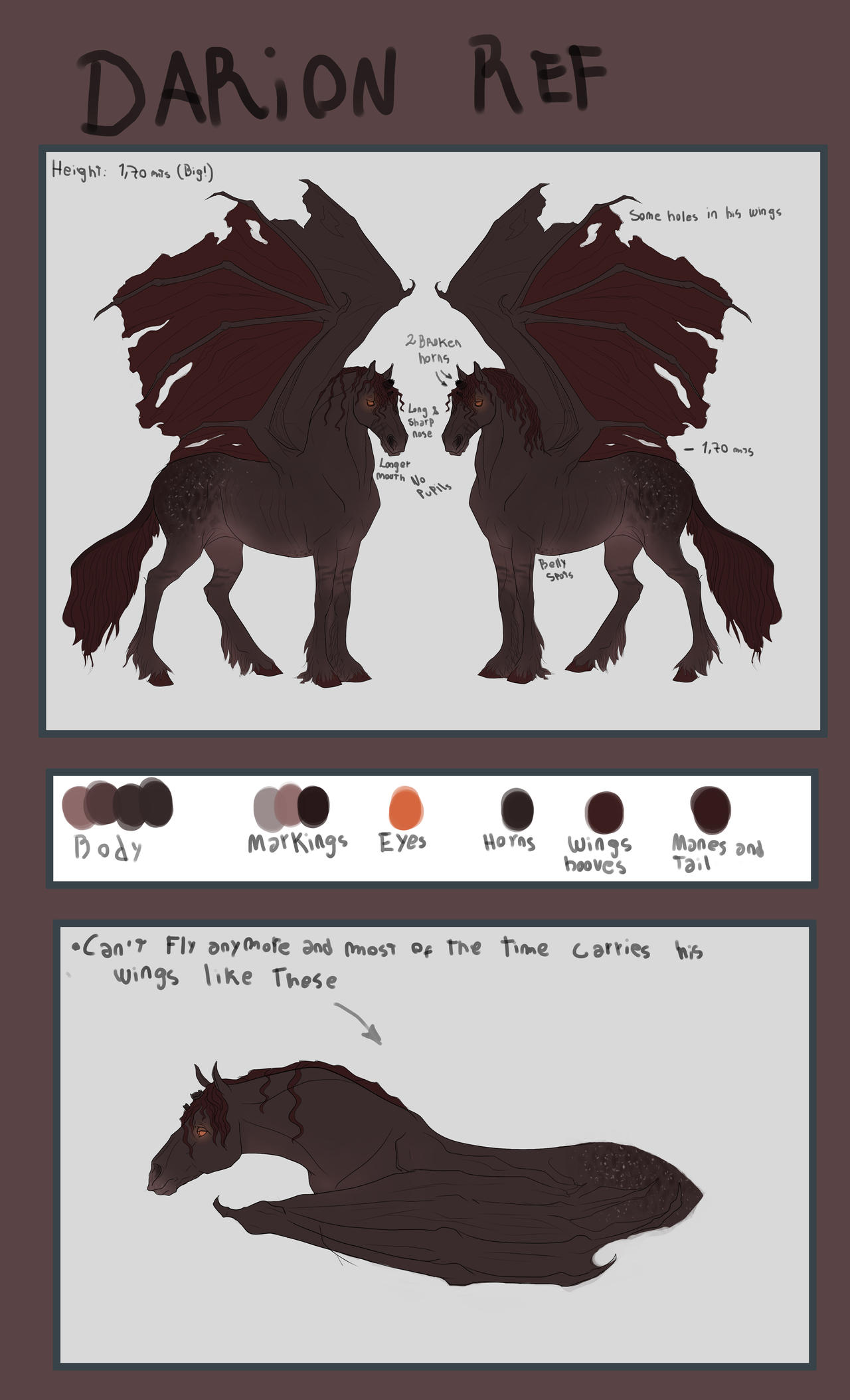 Darion Reference Sheet