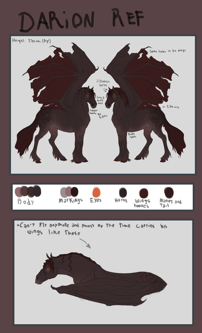 Darion Design Darion Reference Sheet by Dalgeor on DeviantArt