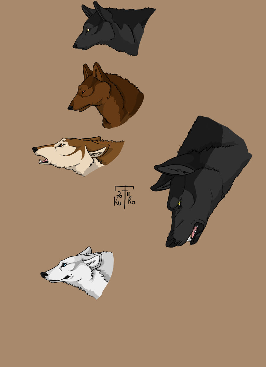 Flying wolves portraits by TheRedLadyArt on DeviantArt