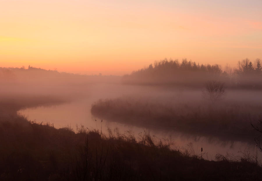 Morning Mist 0322