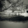 The gate