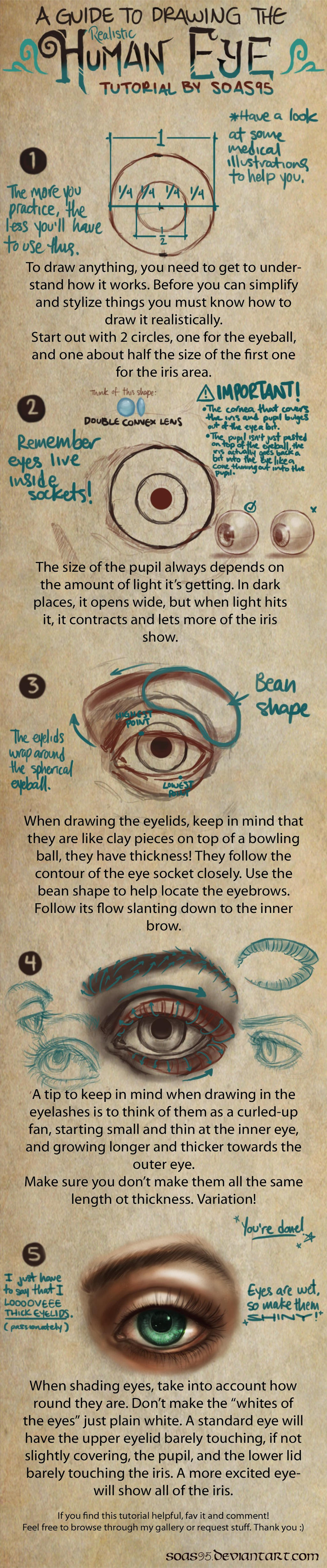 Human Eye- TUTORIAL by soas95 on DeviantArt