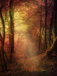 Autumn Forest - Premade Background