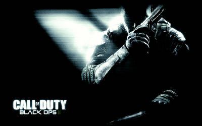 Black Ops 2 Alternative Cover