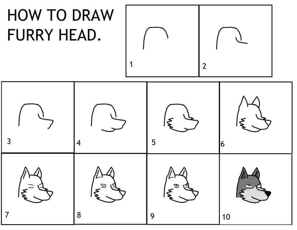 How To Draw Furry Head by ZergRex on DeviantArt How To Draw Furry Head by ZergRex on DeviantArt