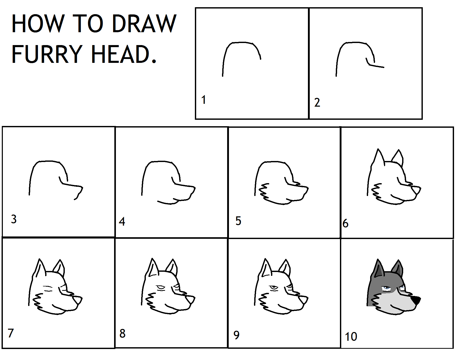 How To Draw Furry Head By Zergrex On Deviantart
