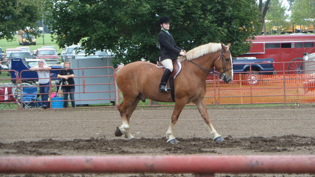Man Riding English by sfaber95 on DeviantArt