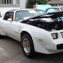 1979 Pontiac Trans Am