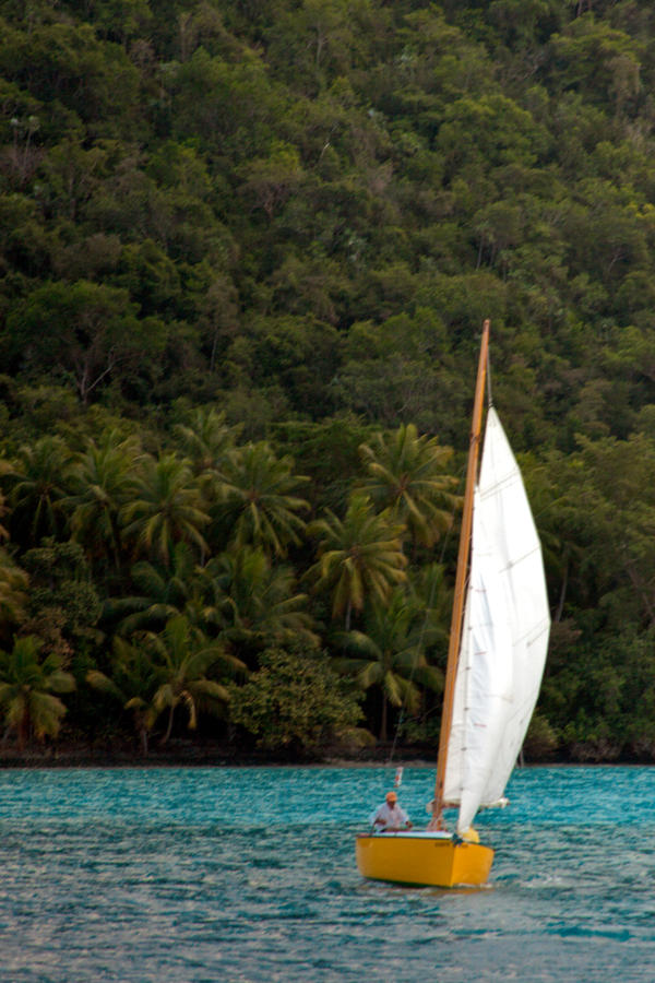 Out for a Sail