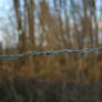 Barbed Wire II