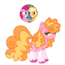 MLP Grid results for Cirillaq