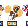 MLP Grid results for Nicousagii #6