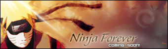 Ninja Forever 2