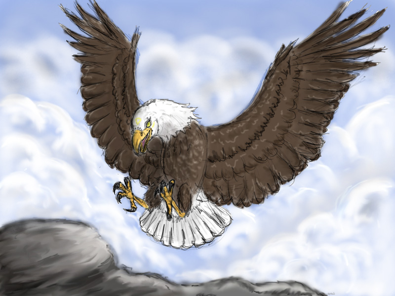 Arden the Bald eagle