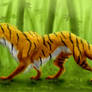 Tiger dragon