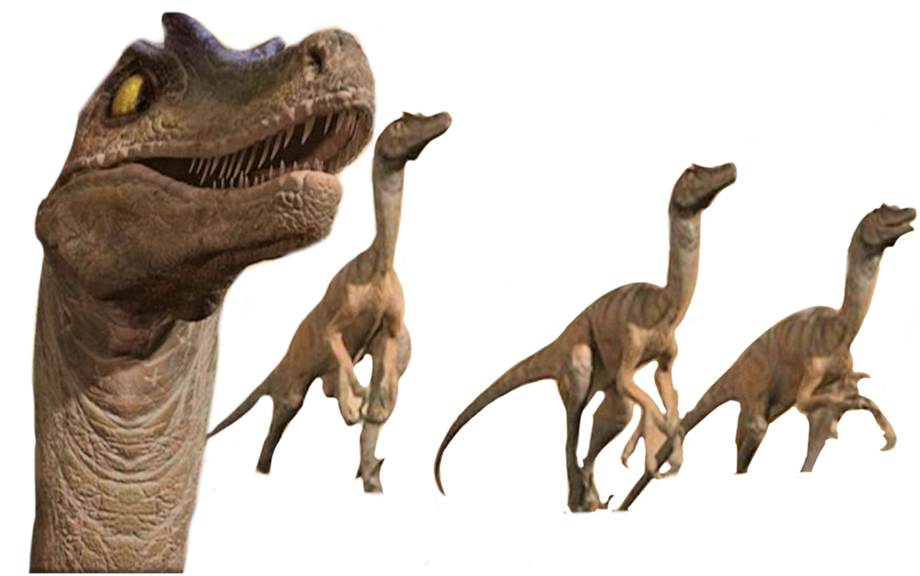 Valorous Raptors Raptors by DracoAwesomeness on DeviantArt