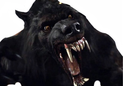 Colorado Werewolf Werewolf by DracoAwesomeness on DeviantArt
