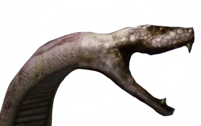 Python by DracoAwesomeness on DeviantArt