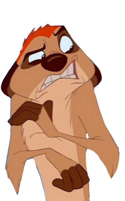 Timon by DracoAwesomeness on DeviantArt