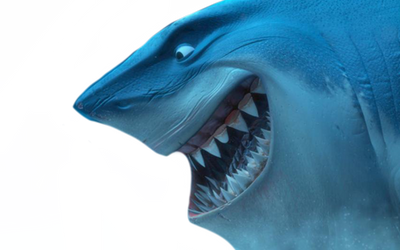 Bruce Scared Deviantart Bruce by DracoAwesomeness on DeviantArt