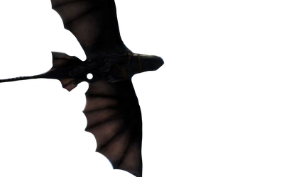 Toothless flight by DracoAwesomeness on DeviantArt