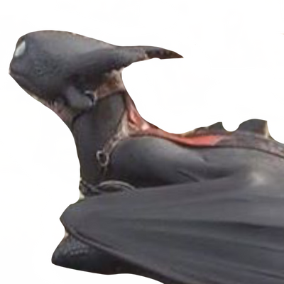 Toothless by DracoAwesomeness on DeviantArt