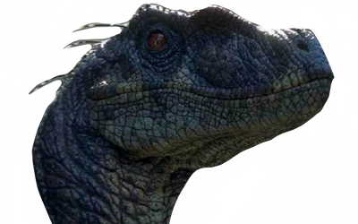 Raptor by DracoAwesomeness on DeviantArt