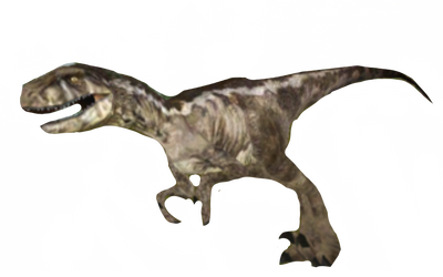 Utahraptor by DracoAwesomeness on DeviantArt