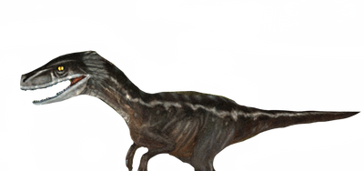 Utahraptor by DracoAwesomeness on DeviantArt