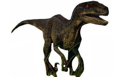 Raptor by DracoAwesomeness on DeviantArt