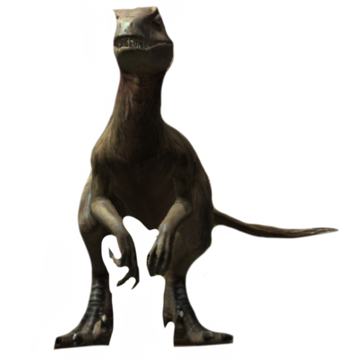 Raptor by DracoAwesomeness on DeviantArt