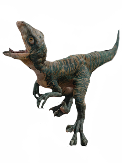 Baby raptor by DracoAwesomeness on DeviantArt