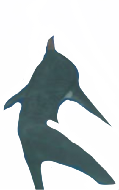 Megalodon by Walking-With-Dragons on DeviantArt