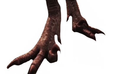 Raptor claws by DracoAwesomeness on DeviantArt