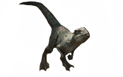 Raptor Roping Deviantart Raptor by DracoAwesomeness on DeviantArt