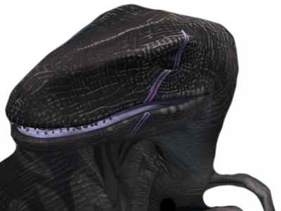 Scar Raptor Render Scarred raptor by DracoAwesomeness on DeviantArt