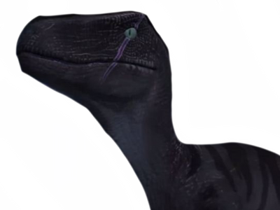 Scar Raptor Render Scarred raptor by DracoAwesomeness on DeviantArt