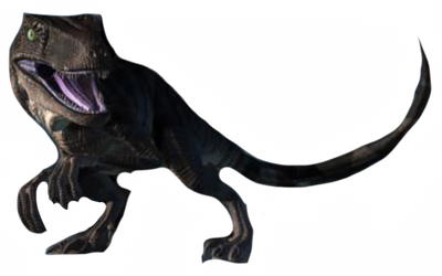 Raptor by DracoAwesomeness on DeviantArt