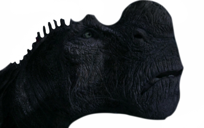 Bruton By DracoAwesomeness On DeviantArt