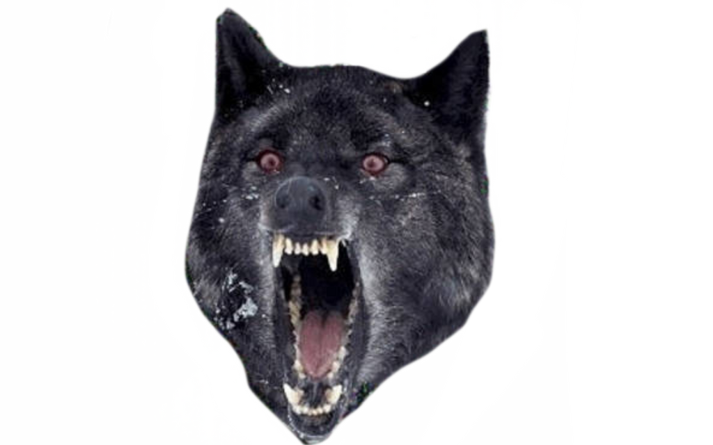 Wolf Inanimate Insanity Insanity wolf by DracoAwesomeness on DeviantArt