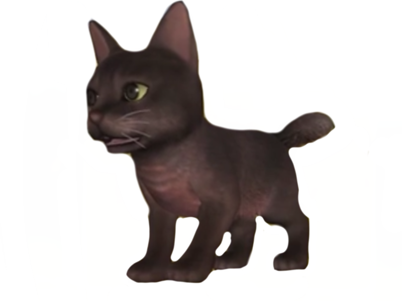 Angora by DracoAwesomeness on DeviantArt