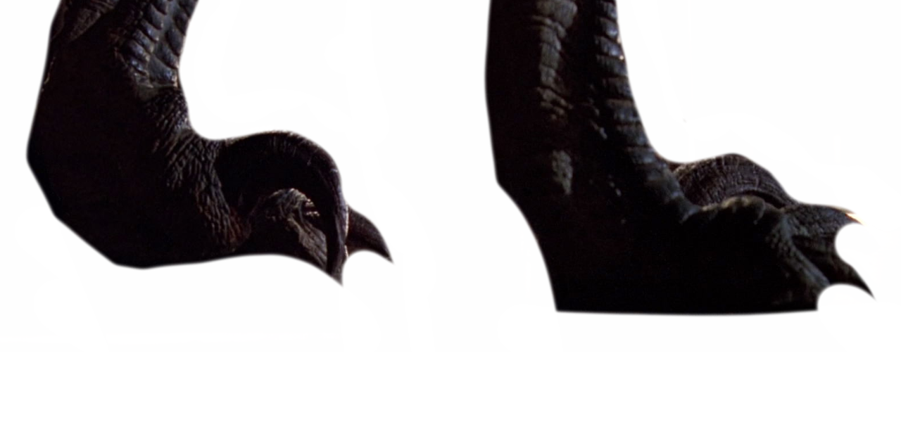 Raptor claws by DracoAwesomeness on DeviantArt